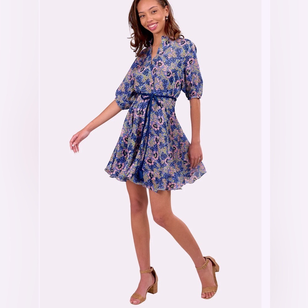 NWT! Tuckernuck Hannah Artwear Gaia Dress Lantana Serenade Size Small